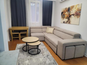 Cozy Apartment ROV